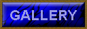 Gallery Page